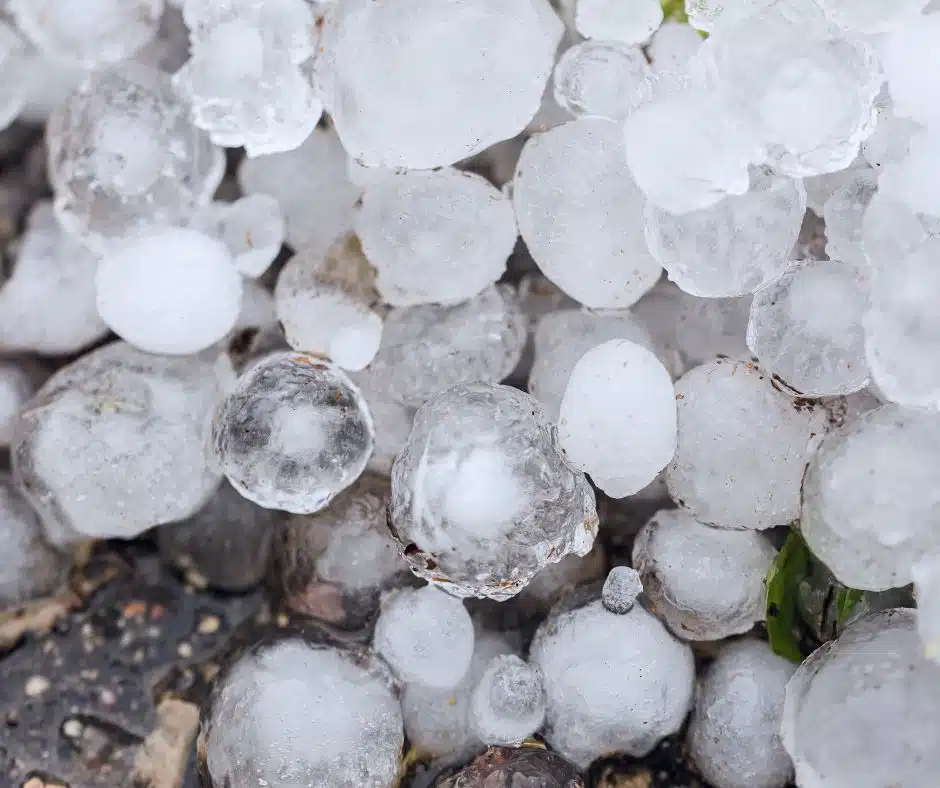 Greater Lansing gets its share of serious summer storms. Severe thunderstorm warnings, dime-to-golf-ball hail, and wind gusts that snap tree limbs are a regular part of mid-Michigan summers. And every time one rolls through, a certain number of homeowners are left wondering whether their roof made it through okay.