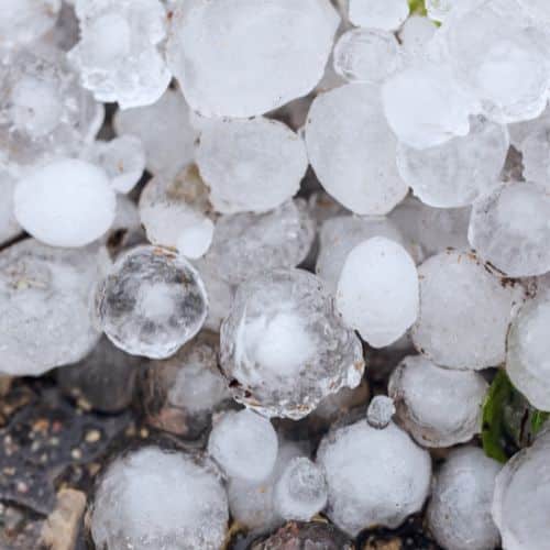 Roof Hail Damage
