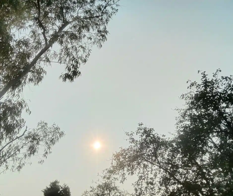 People tend to think of winter as the hard season for roofs in Michigan. And it is tough,but summer has its own way of wearing a roof down, and it does it quietly, over years, without the dramatic evidence of an ice dam or a missing shingle after a windstorm.